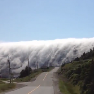 Incredible video of an avalanche of fog rolling over the Long Range Mountains in Newfoundland’s Lark Harbour