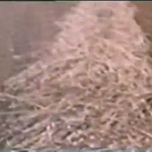 This is Canada (Metropolitan Opera)